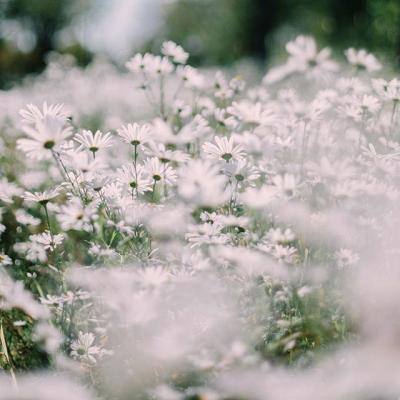 beat365中国在线体育下载手机版