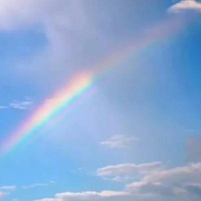 365体育官网入口